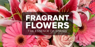 Spring Fragrant Bold