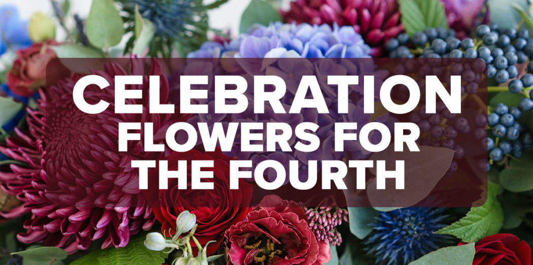 FM4-Bold—Flowers-for-the-Fourth—Blog (1)