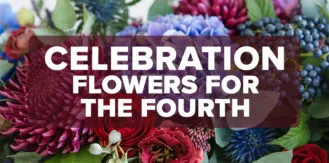 FM4-Bold—Flowers-for-the-Fourth—Blog (1)