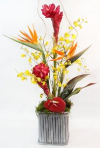 This tropical design featuring birds of paradise, oncidium orchids, ginger and more with accents of massageana leaves and curly willow.